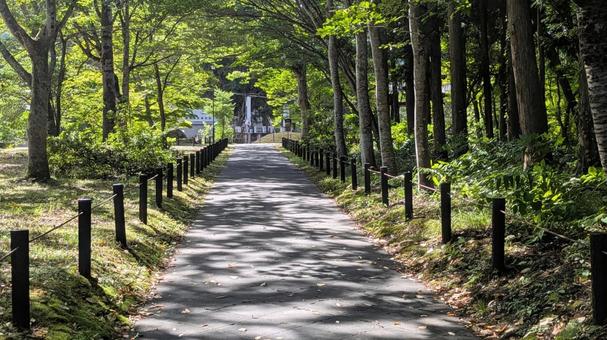 福島県 福満虚空蔵尊 円蔵寺の参道 福島県 福満虚空蔵尊 円蔵寺の参道の写真