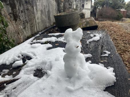 雪遊び ウサギ 雪遊び ウサギ 雪遊び,ウサギ,和歌山県の写真素材
