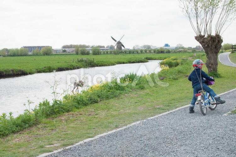 風車と子供 4月,オランダ,キンデルダイクの写真素材