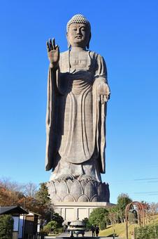 牛久大仏 仏像,青空,紅葉の写真素材