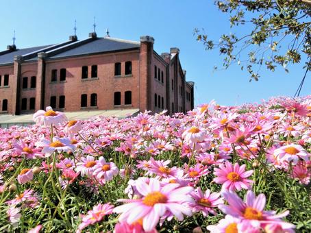 Yokohama Red Brick Warehouse, almacén de ladrillo rojo, minato mirai, yokohama, JPG