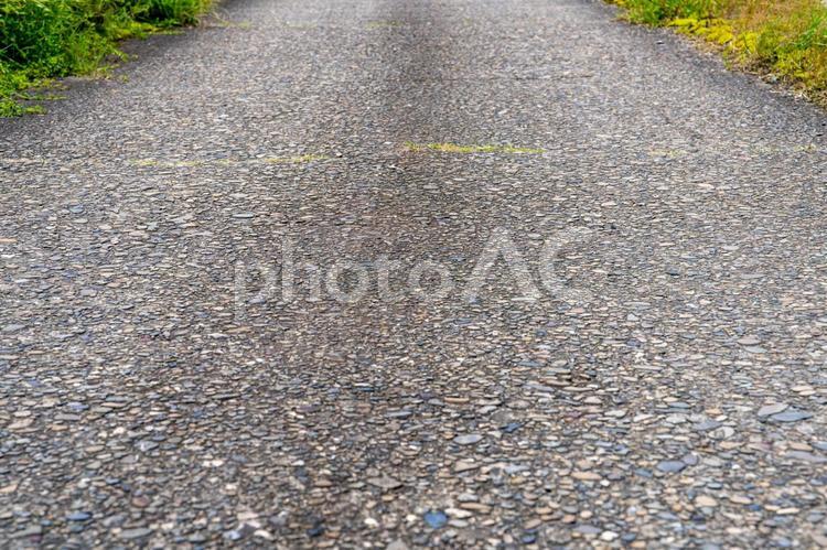 夏草に埋もれるアスファルト アスファルト,道,みちの写真素材