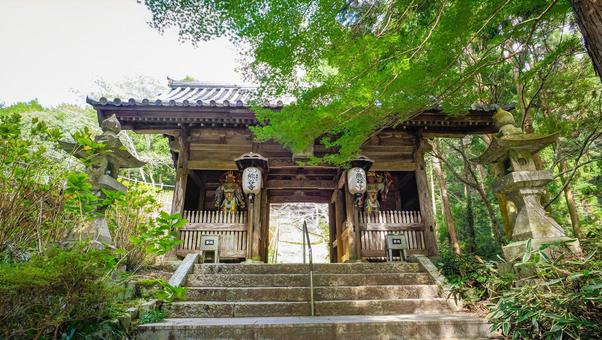 秋の熊谷寺 中門 秋の熊谷寺 中門 四国八十八か所,霊場,二天門の写真素材