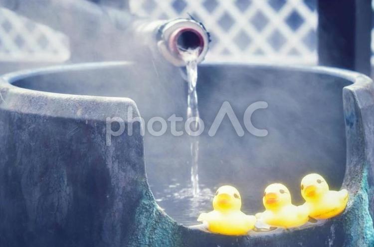 アヒルの行水 ぬれた,楽しみ,屋外での写真素材