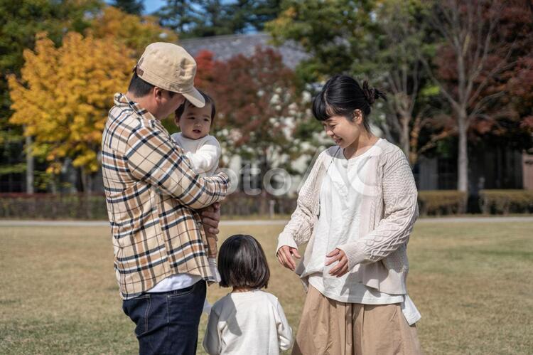 秋の公園で遊ぶ家族・ファミリー 家族,ファミリー,ピクニックの写真素材