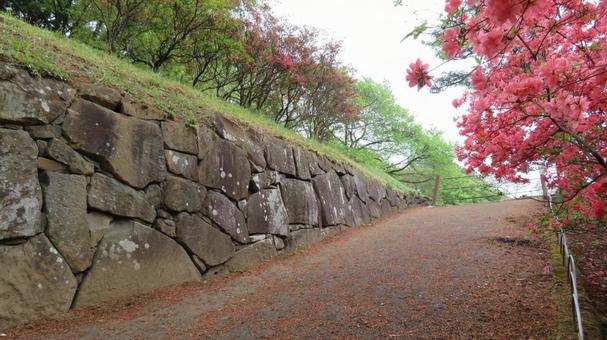 沼田城 本丸 西櫓跡の石垣 沼田城 本丸 西櫓跡の石垣 沼田城,真田信之,小松姫の写真素材