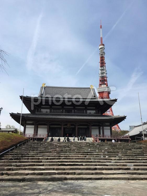 増上寺と東京タワー 増上寺,東京タワー,芝公園の写真素材
