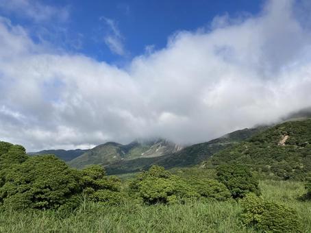 夏の山 夏の山の写真