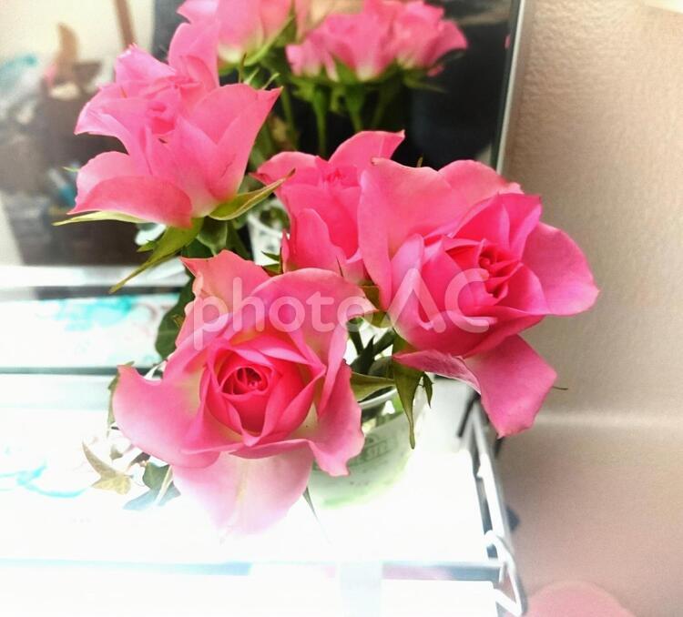 鏡の前に花を飾る pink,オーナメント（アート）,バラの写真素材