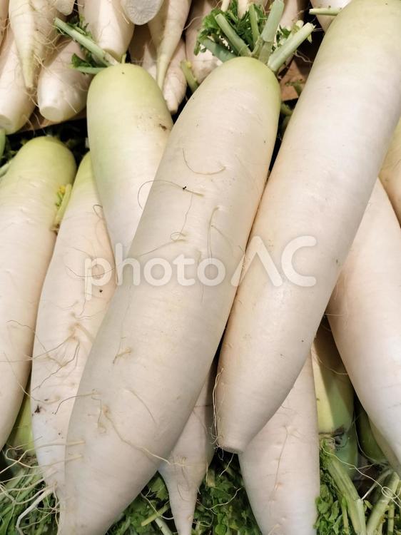 たくさんの大根 ダイコン,野菜,食べ物の写真素材
