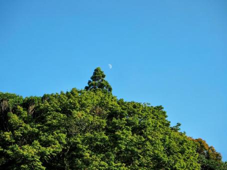 昼の月 昼の月の写真