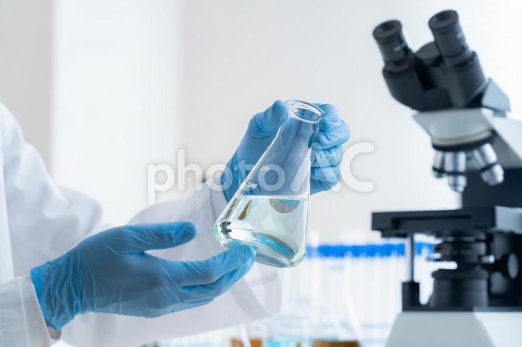 研究所で実験をする研究者 研究,科学,実験の写真素材