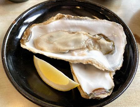 Raw oysters in the shell with lemon slices, oyster, oyster, raw oyster, JPG