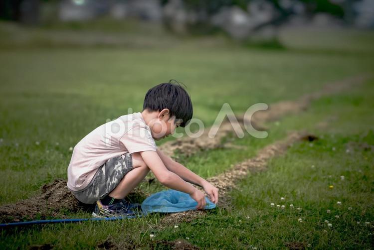＜素材＞芝生の公園で虫取りをする男の子 子供,男性,人物の写真素材