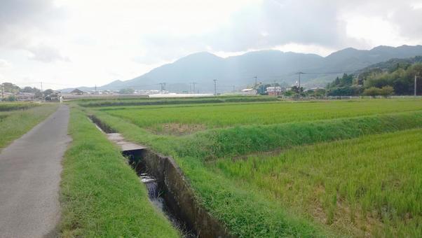 田んぼ-篠栗町 田んぼ-篠栗町の写真