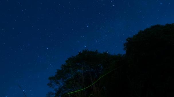 星と舞う、ひかりの詩 星空,ホタル,夜の写真素材