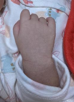 赤ちゃんの手の写真