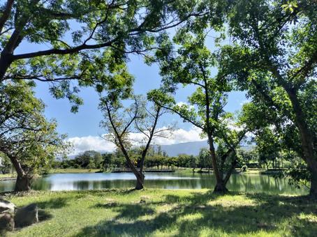 関山親水公園 関山親水公園の写真