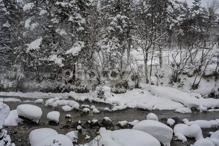大雪に見舞われた草津 西の河原公園,雪,積雪の写真素材