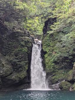 滝(縦) 滝(縦)の写真