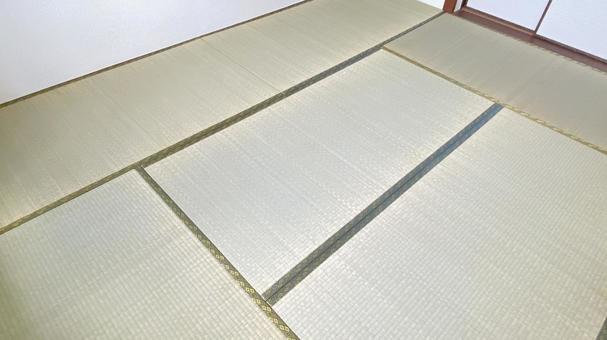 畳表を替えたばかりの畳六畳 青い畳 畳表を替えたばかりの畳六畳 青い畳の写真