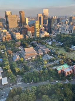 東京タワー 東京タワーの写真
