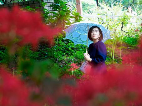 40:彼岸花を静かに眺める女性 40:彼岸花を静かに眺める女性の写真