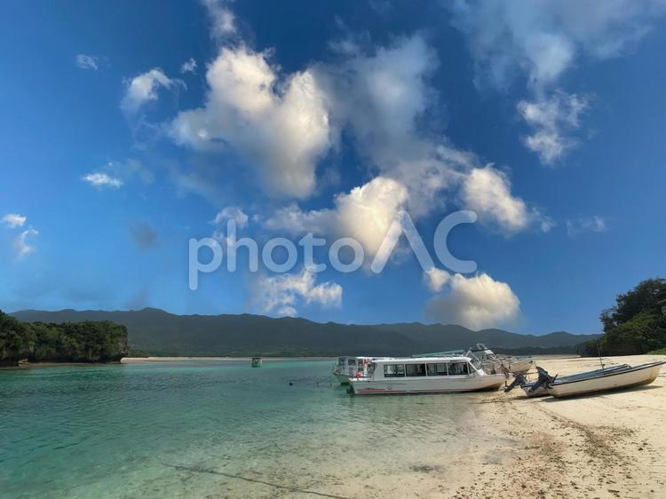 南国の癒し 沖縄,石垣,石垣島の写真素材