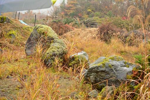 静岡県裾野市のすすきと岩場 静岡県裾野市のすすきと岩場の写真