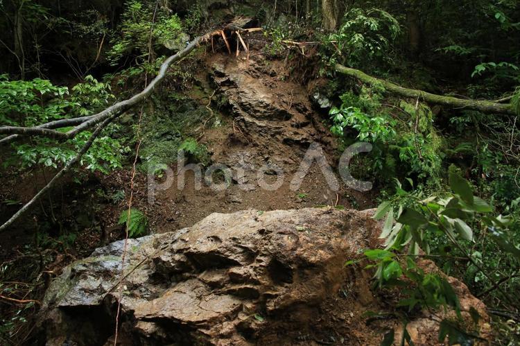 災害：落石と倒木 倒木,落石,土砂崩れの写真素材