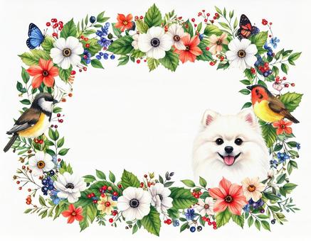 ポメラニアンと鳥と花のフレームの写真