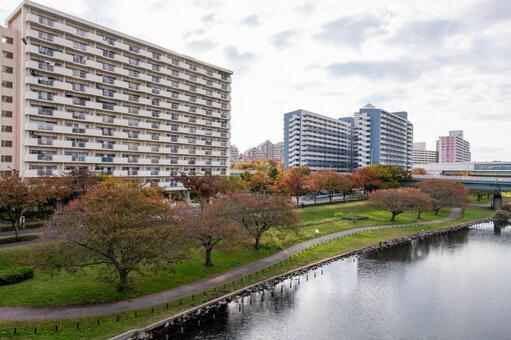大島小松川公園　2025年 大島小松川公園,江戸川区,東大島の写真素材