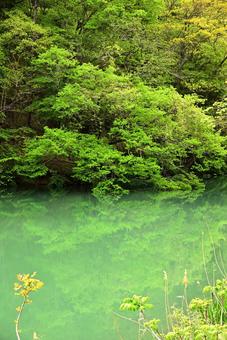 名もなき淵 淵,風景,自然の写真素材