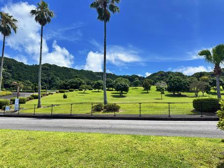 公園 夏の風景 公園 夏の風景の写真