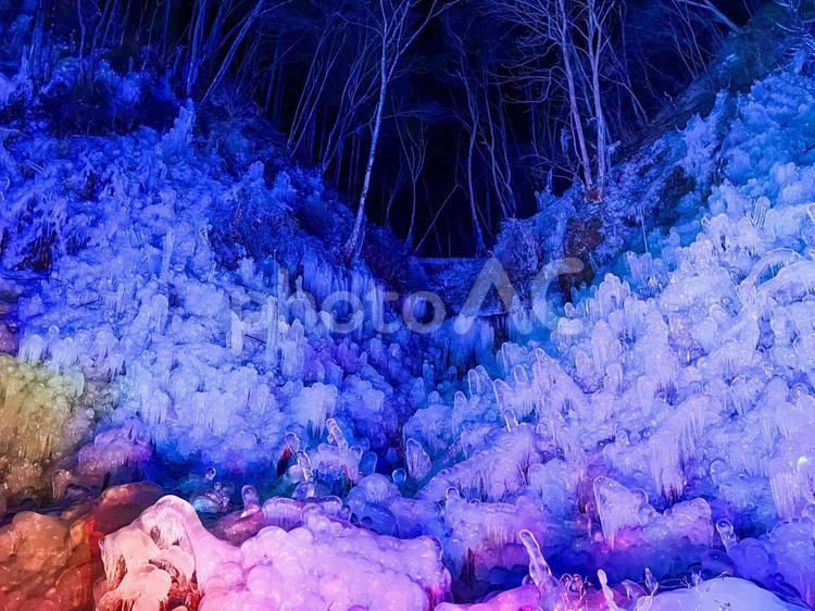 あしがくぼの氷柱　イルミネーション あしがくぼの氷柱,氷柱,ライトアップの写真素材