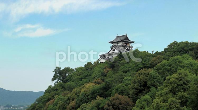 小高い丘陵（城山）に立つ国宝犬山城天守 犬山城,白帝城,本丸の写真素材