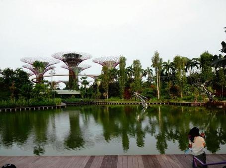 シンガポールの写真