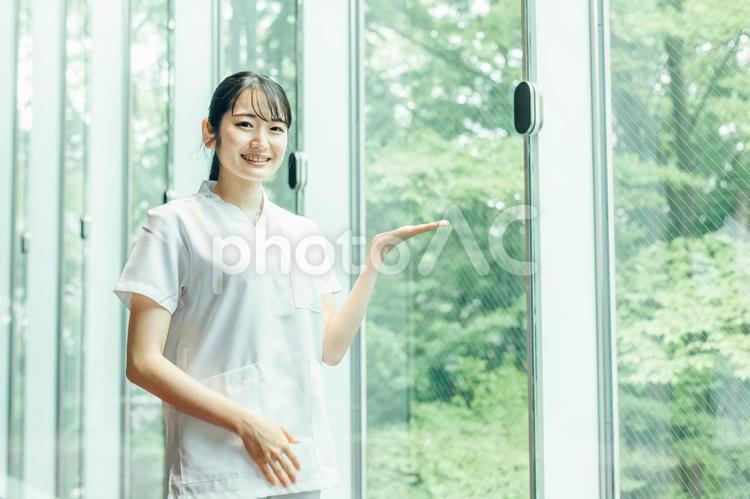 白衣を着た女性 看護士,看護師,介護士の写真素材