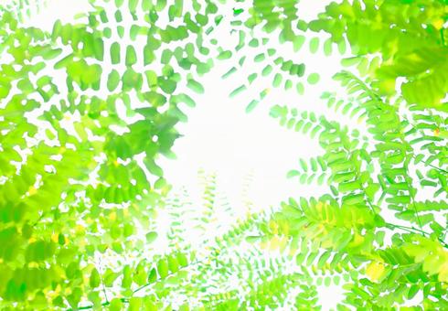 緑の葉と植物のパステルカラーイメージ画像 新緑,リーフ,リラックスの写真素材