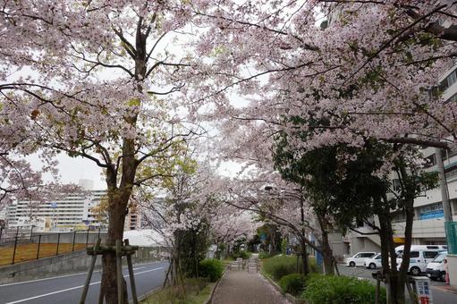 新神戸街並みの写真