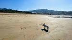 波津海岸を駆けるフレブル フレンチブルドッグ,犬,波津海岸の写真素材