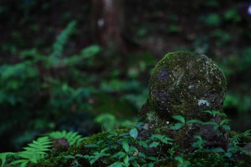 地蔵 地蔵 草,草木,はっぱの写真素材