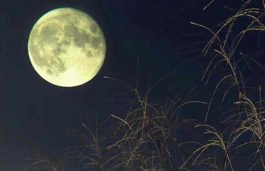 Autumn image material/Moon viewing/Full moon, JPG Autumn image material/Moon viewing/Full moon, JPG