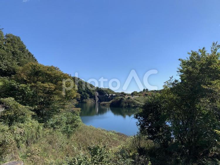 木々の間から見える塩原ダム 風景,空,木の写真素材