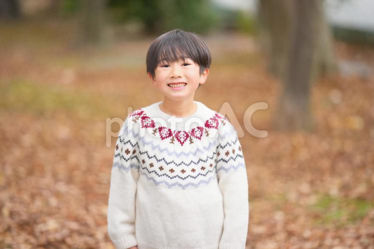 落ち葉だらけのところでカメラ目線で笑顔のニットの男の子 男の子,子供,ニットの写真素材