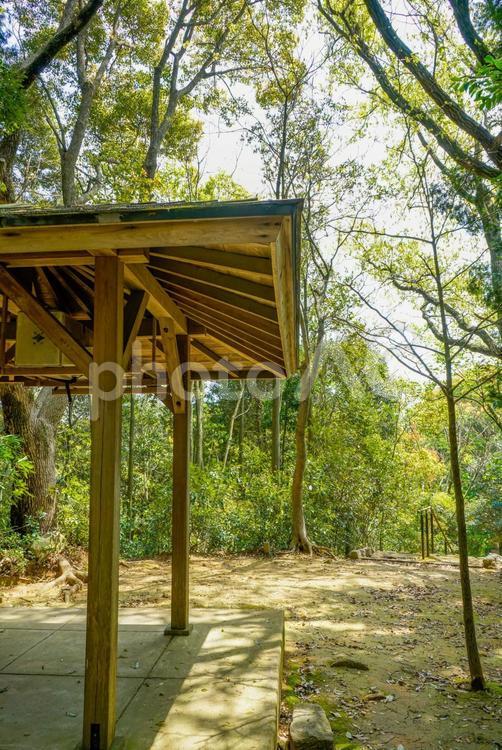 小春日和の公園風景 風景,公園,景色の写真素材