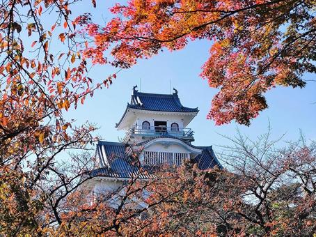 長浜城 城,長浜,長浜城の写真素材