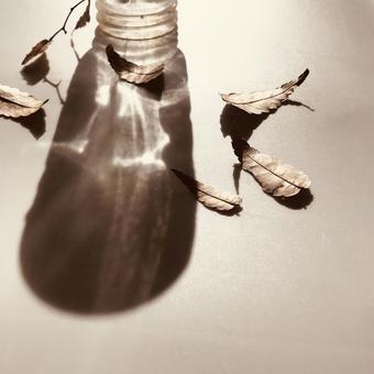 黄金色の落ち葉を並べて 黄金色,落ち葉,花瓶の写真素材