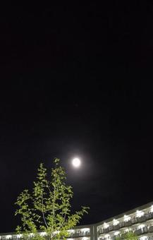 夜景 夜景の写真