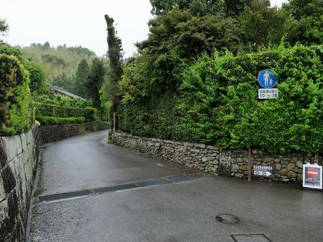 知覧 武家屋敷通り 知覧 武家屋敷通り 知覧,武家屋敷通り,鹿児島の写真素材